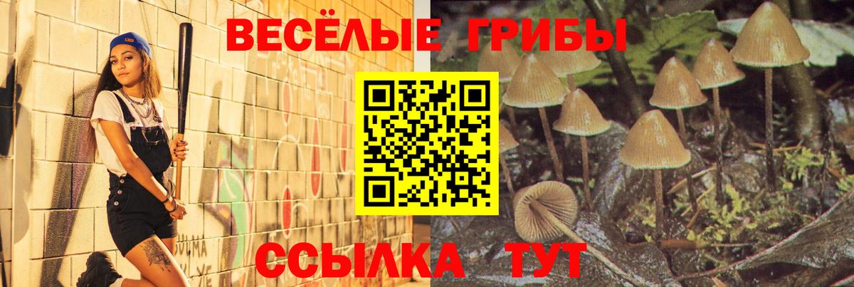 Дедовск  Галлюциногенные грибы Cubensis  Вход с VPN 